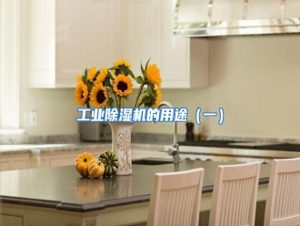 知识百科工业除湿机的用途（一）