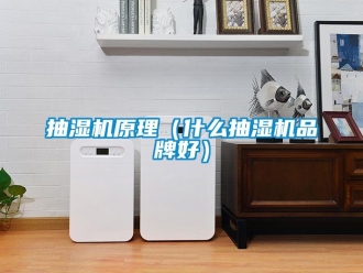 企业动态抽湿机原理（什么抽湿机品牌好）