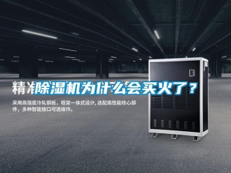 常见问题除湿机为什么会买火了？