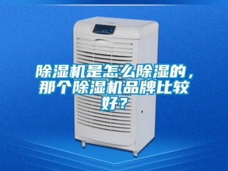 常见问题除湿机是怎么除湿的，那个除湿机品牌比较好？
