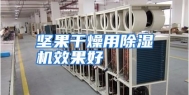 坚果干燥用除湿机效果好