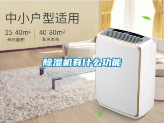 常见问题除湿机有什么功能
