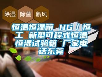 知识百科恒温恒湿箱 HG／恒工 新型可程式恒温恒湿试验箱 厂家电话东莞
