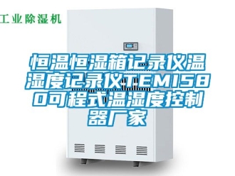 知识百科恒温恒湿箱记录仪温湿度记录仪TEMI580可程式温湿度控制器厂家