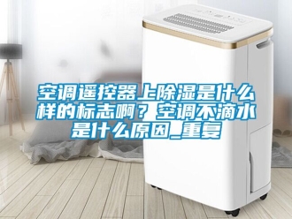 行业资讯空调遥控器上除湿是什么样的标志啊？空调不滴水是什么原因_重复