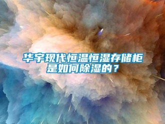 知识百科华宇现代恒温恒湿存储柜是如何除湿的？