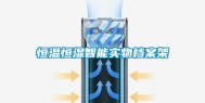 恒温恒湿智能实物档案架