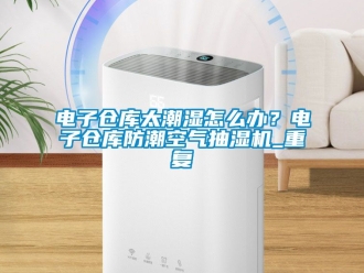 企业动态电子仓库太潮湿怎么办？电子仓库防潮空气抽湿机_重复