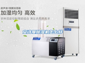 常见问题安诗曼除湿机怎么样