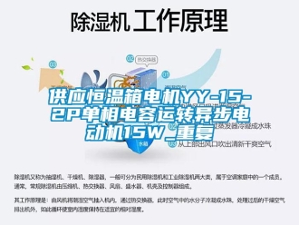 知识百科供应恒温箱电机YY-15-2P单相电容运转异步电动机15W_重复