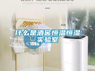 知识百科什么是酒窖恒温恒湿实验室