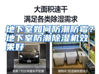 常见问题地下室如何防潮防霉？地下室防潮除湿机效果好