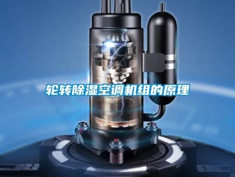 行业资讯轮转除湿空调机组的原理