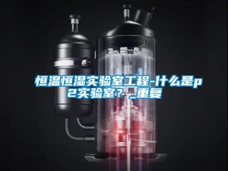 知识百科恒温恒湿实验室工程-什么是p2实验室？_重复