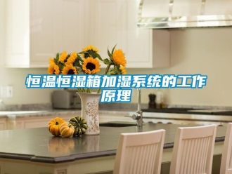 知识百科恒温恒湿箱加湿系统的工作原理