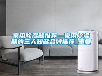行业资讯家用除湿器推荐—家用除湿器的三大知名品牌推荐_重复