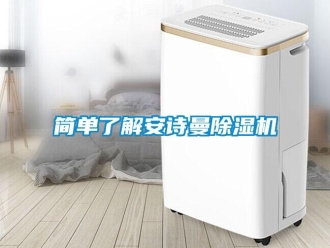 行业资讯简单了解安诗曼除湿机