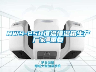 常见问题HWS-250恒温恒湿箱生产厂家_重复