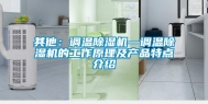 其他：调温除湿机—调温除湿机的工作原理及产品特点介绍