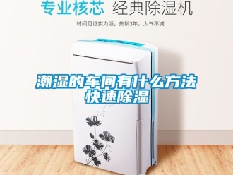 企业动态潮湿的车间有什么方法快速除湿