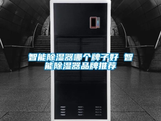 行业资讯智能除湿器哪个牌子好 智能除湿器品牌推荐