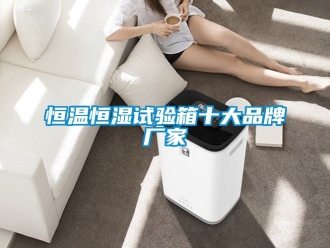 知识百科恒温恒湿试验箱十大品牌厂家