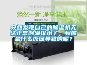行业资讯突然发现自己的除湿机无法正常除湿排水了，到底是什么原因导致的呢？