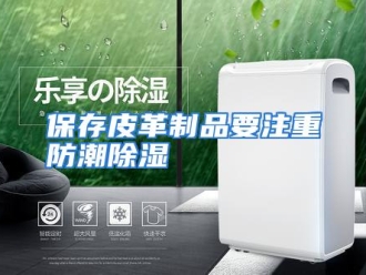 知识百科保存皮革制品要注重防潮除湿