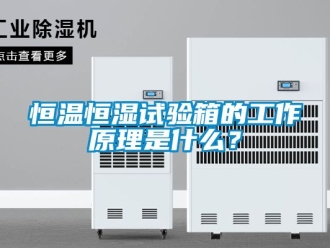知识百科恒温恒湿试验箱的工作原理是什么？