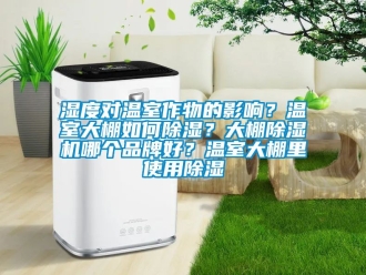 企业动态湿度对温室作物的影响？温室大棚如何除湿？大棚除湿机哪个品牌好？温室大棚里使用除湿