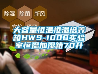 知识百科大容量恒温恒湿培养箱HWS-1000实验室恒温加湿箱70升