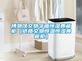知识百科博物馆文物字画恒湿典藏柜（纸质文物恒温恒湿典藏柜）
