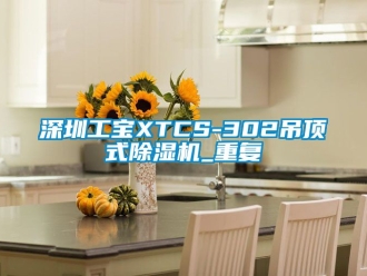行业资讯深圳工宝XTCS-302吊顶式除湿机_重复