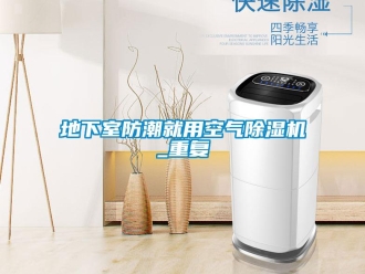 行业资讯地下室防潮就用空气除湿机_重复