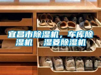行业资讯宜昌市除湿机，车库除湿机  湿菱除湿机