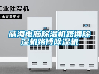 行业资讯威海电脑除湿机路博除湿机路博除湿机