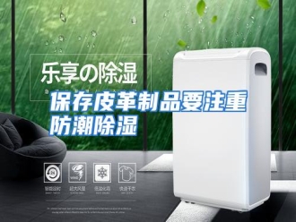 知识百科保存皮革制品要注重防潮除湿