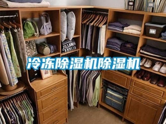 行业资讯冷冻除湿机除湿机
