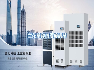 行业资讯兰花草种植湿度调节