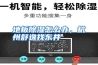 地板除湿怎么办，杭州舒逸找东井
