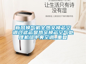 企业动态新风换气机全热交换芯空调过滤芯显热交换芯空气处理机组中央空调_重复