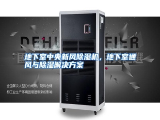 知识百科地下室中央新风除湿机，地下室通风与除湿解决方案