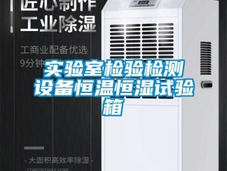 知识百科实验室检验检测设备恒温恒湿试验箱