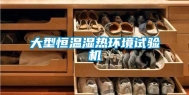 大型恒温湿热环境试验机