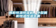 展柜恒温恒湿机，小型展柜恒温恒湿装置