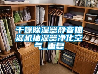 行业资讯干燥除湿器静音抽湿机抽湿器净化空气_重复