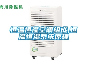 知识百科恒温恒湿空调组成,恒温恒湿系统原理
