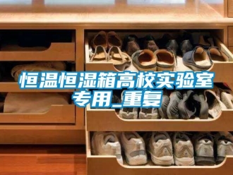 知识百科恒温恒湿箱高校实验室专用_重复