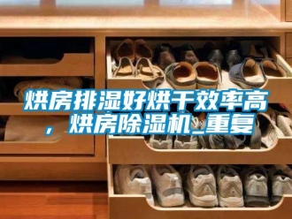 行业资讯烘房排湿好烘干效率高，烘房除湿机_重复