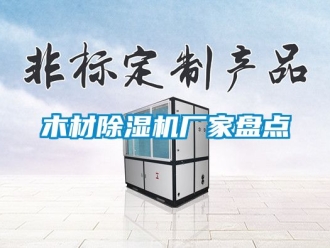 企业动态木材除湿机厂家盘点